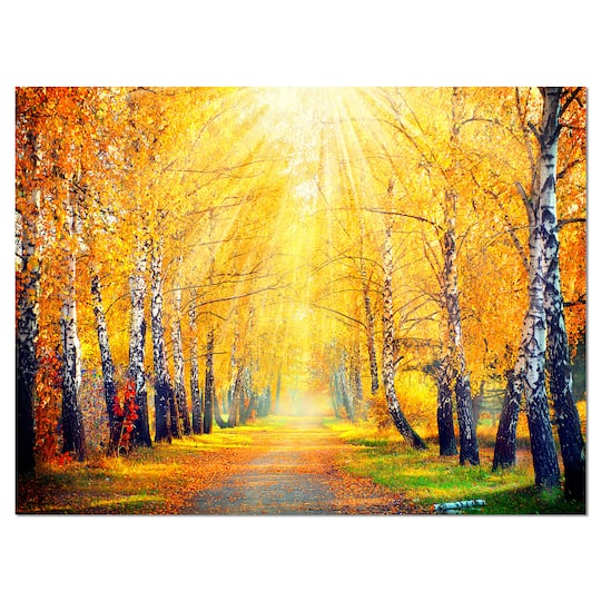 Designart - Yellow Autumn Trees in Sunray
